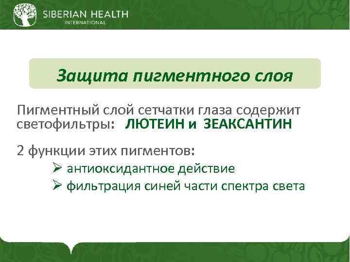 Защита пигментного слоя Пигментный слой сетчатки глаза содержит светофильтры: ЛЮТЕИН и ЗЕАКСАНТИН 2 функции