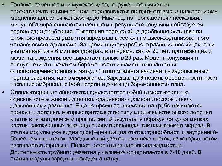  • • Головка, семенное или мужское ядро, окруженное лучистым протоплазматическим венцом, передвигается по