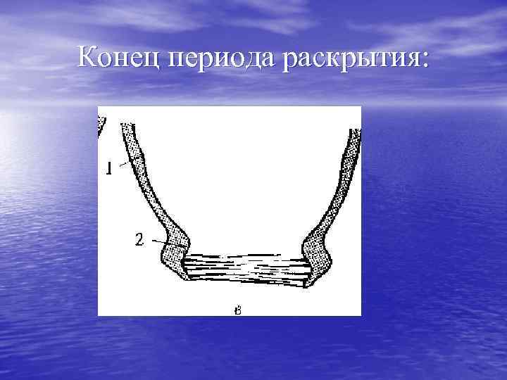 Конец периода раскрытия: 