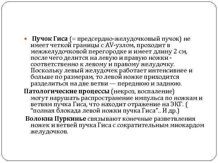  Пучок Гиса (= предсердно-желудочковый пучок) не имеет четкой границы с AV-узлом, проходит в