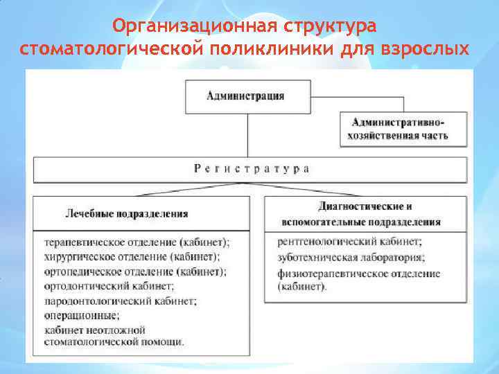 Организационная структура стоматологической поликлиники для взрослых 