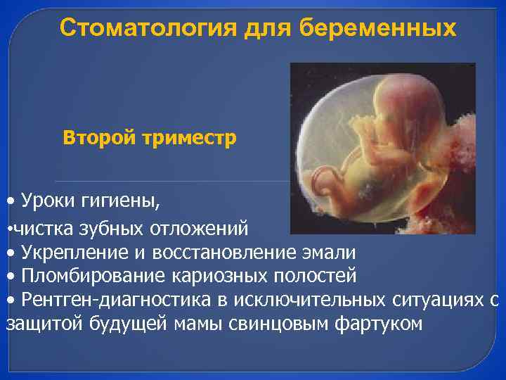 Стоматология для беременных Второй триместр • Уроки гигиены, • чистка зубных отложений • Укрепление