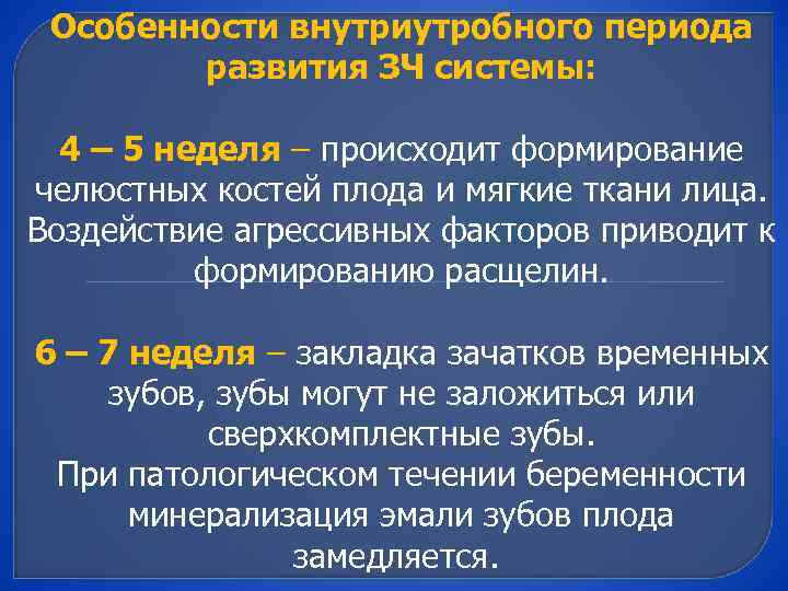 Особенности внутриутробного периода развития ЗЧ системы: 4 – 5 неделя – происходит формирование челюстных