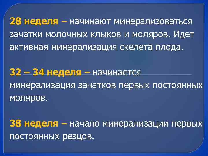 28 неделя – начинают минерализоваться зачатки молочных клыков и моляров. Идет активная минерализация скелета