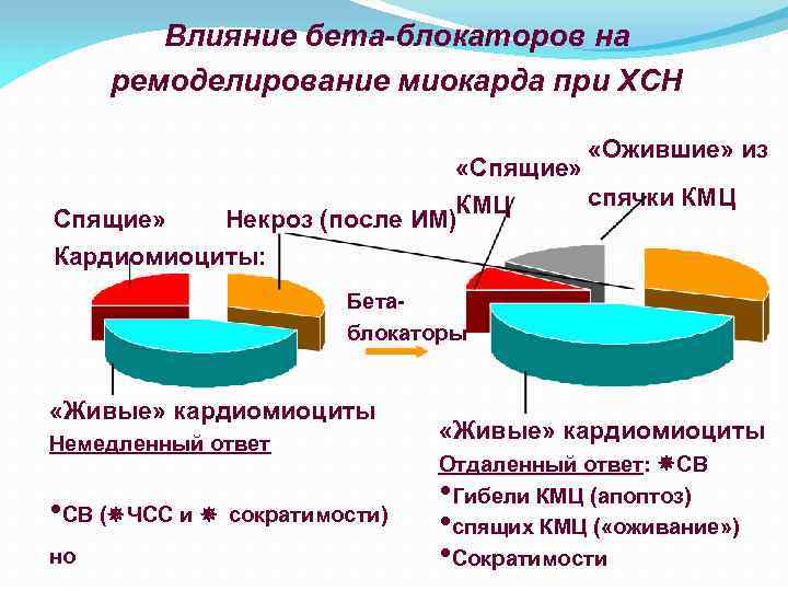 Влияние бета-блокаторов на ремоделирование миокарда при ХСН «Ожившие» из «Спящие» спячки КМЦ Спящие» Некроз
