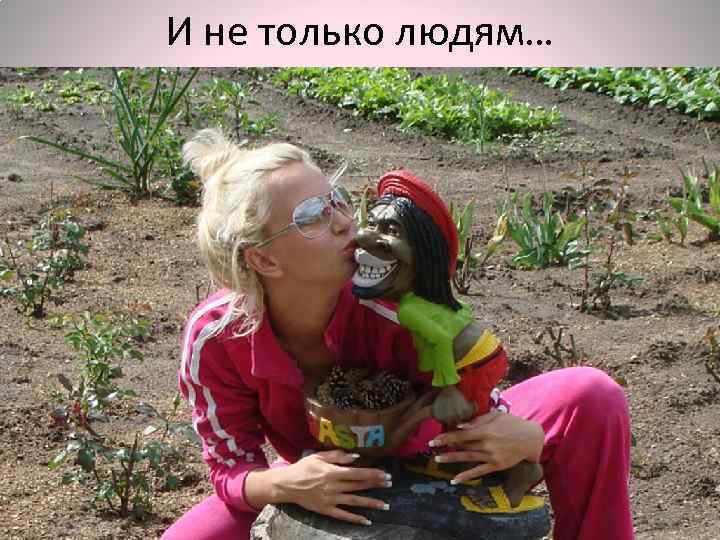 И не только людям… 