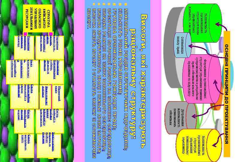 Відповідність організаційної структури цілям управлінської діяльності, а не навпаки Формування організаційної структури управління повинно