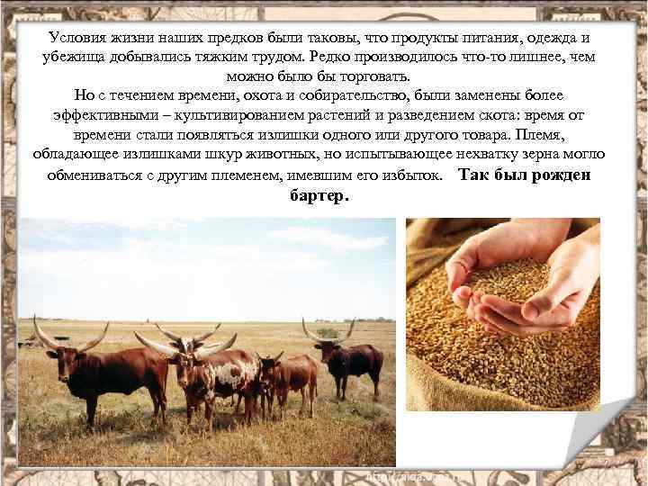 Условия жизни наших предков были таковы, что продукты питания, одежда и убежища добывались тяжким