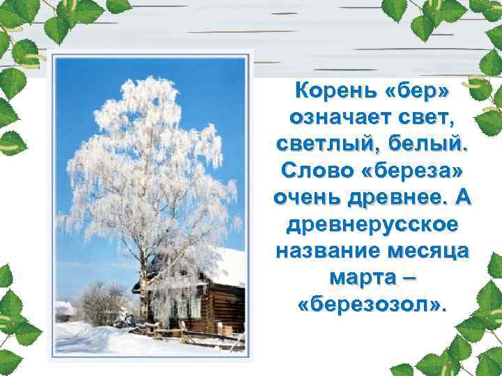 Корень «бер» означает свет, светлый, белый. Слово «береза» очень древнее. А древнерусское название месяца