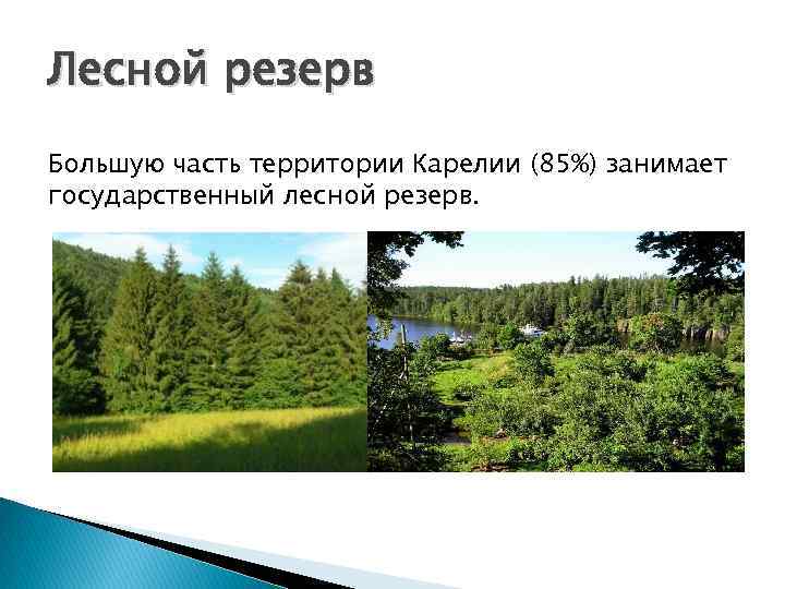 Лесной резерв Большую часть территории Карелии (85%) занимает государственный лесной резерв. 