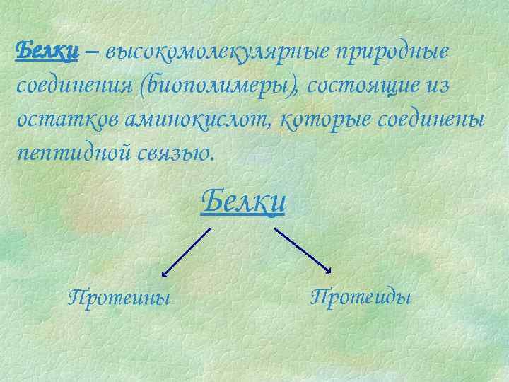 Белки – высокомолекулярные природные соединения (биополимеры), состоящие из остатков аминокислот, которые соединены пептидной связью.