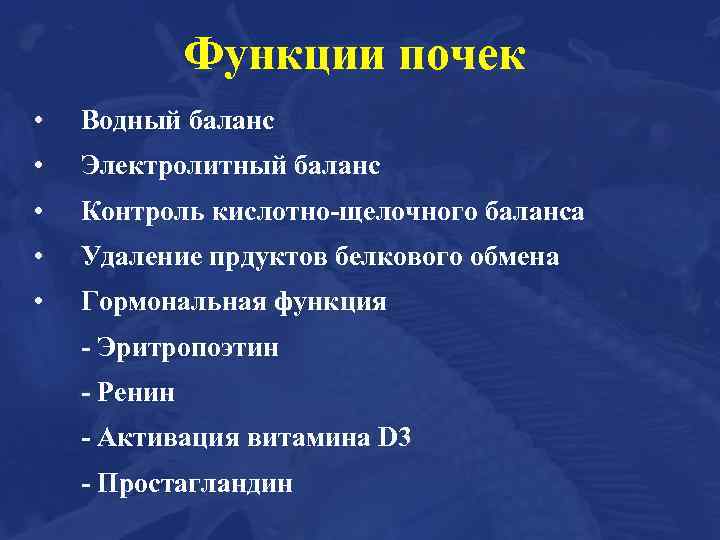 Функции почек • Водный баланс • Электролитный баланс • Контроль кислотно-щелочного баланса • Удаление