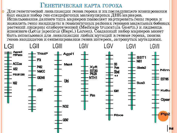 Генетическая работа