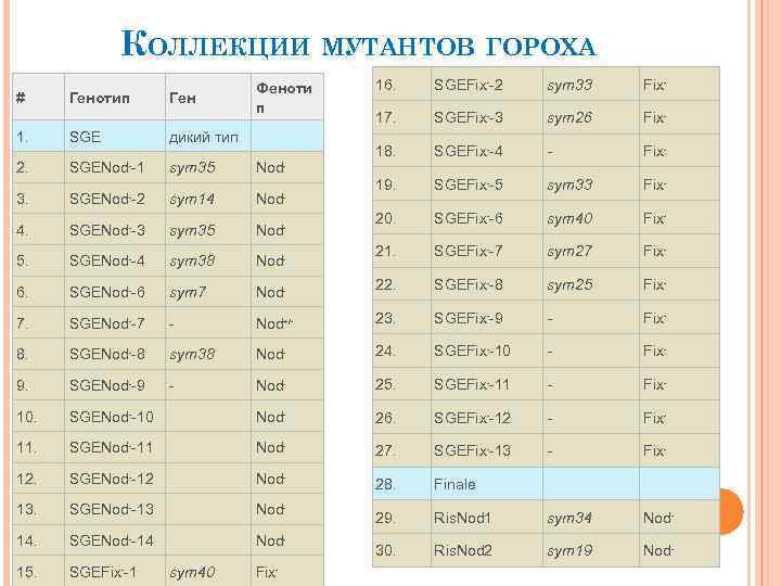 КОЛЛЕКЦИИ МУТАНТОВ ГОРОХА # Генотип Ген Феноти п 16. SGEFix--2 sym 33 Fix- 17.