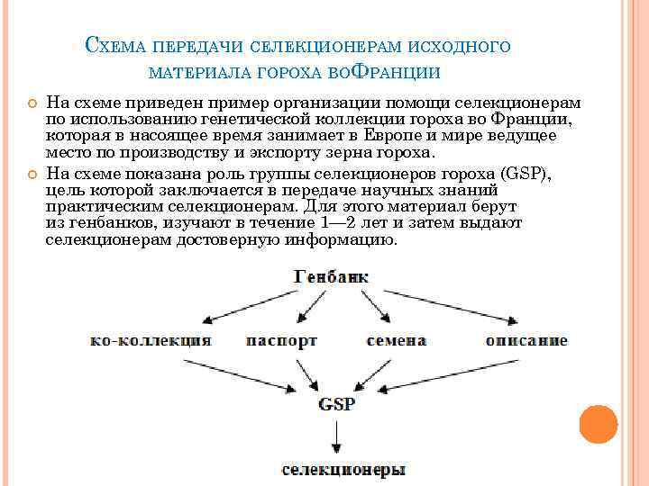 СХЕМА ПЕРЕДАЧИ СЕЛЕКЦИОНЕРАМ ИСХОДНОГО МАТЕРИАЛА ГОРОХА ВО ФРАНЦИИ На схеме приведен пример организации помощи