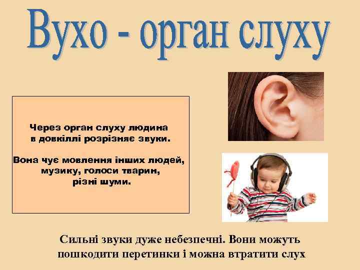 Через орган слуху людина в довкіллі розрізняє звуки. Вона чує мовлення інших людей, музику,