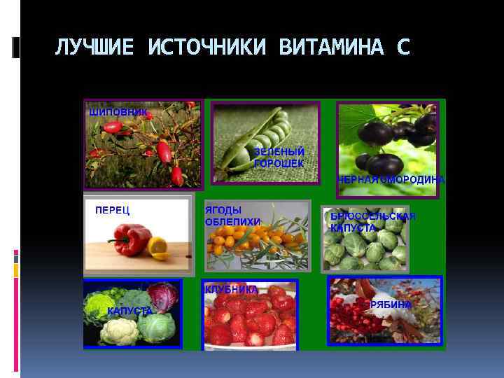ЛУЧШИЕ ИСТОЧНИКИ ВИТАМИНА С 
