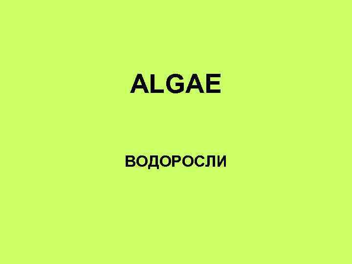 ALGAE ВОДОРОСЛИ 