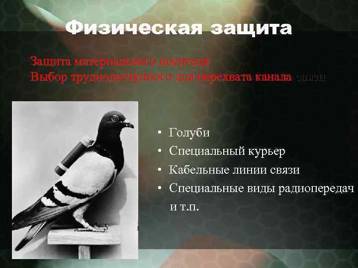Физическая защита Защита материального носителя Выбор труднодоступного для перехвата канала связи • • Голуби