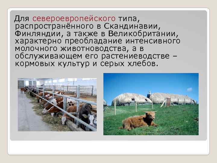 Для центральной россии характерно скотоводство. Сельское хозяйство зарубежной Европы. Молочное скотоводство распространено в. Интенсивное молочное скотоводство характерно для. Животноводство североевропейский Тип.