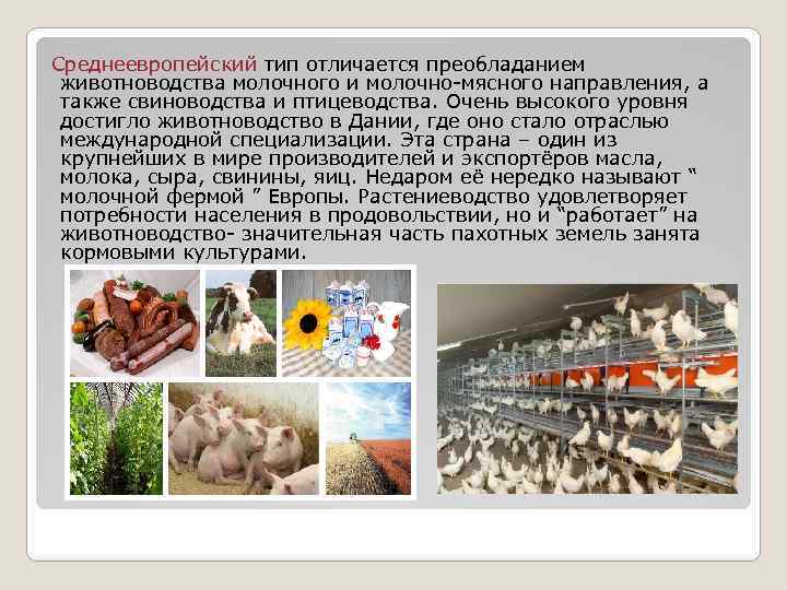 Среднеевропейский тип отличается преобладанием животноводства молочного и молочно-мясного направления, а также свиноводства и птицеводства.