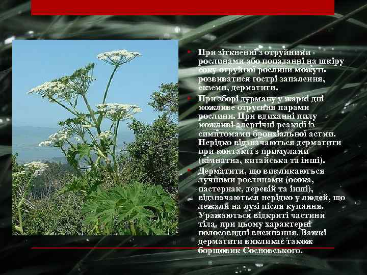  • При зіткненні з отруйними рослинами або попаданні на шкіру соку отруйної рослини