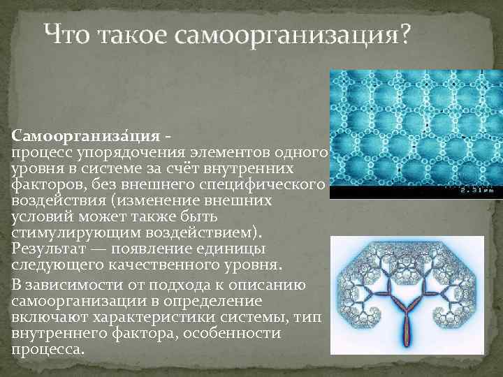 Что такое самоорганизация? Самоорганиза ция процесс упорядочения элементов одного уровня в системе за счёт