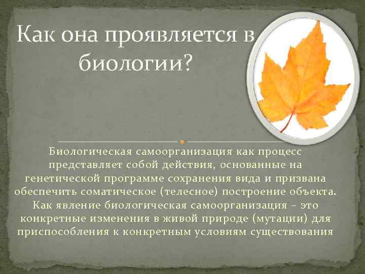 Как она проявляется в биологии? Биологическая самоорганизация как процесс представляет собой действия, основанные на