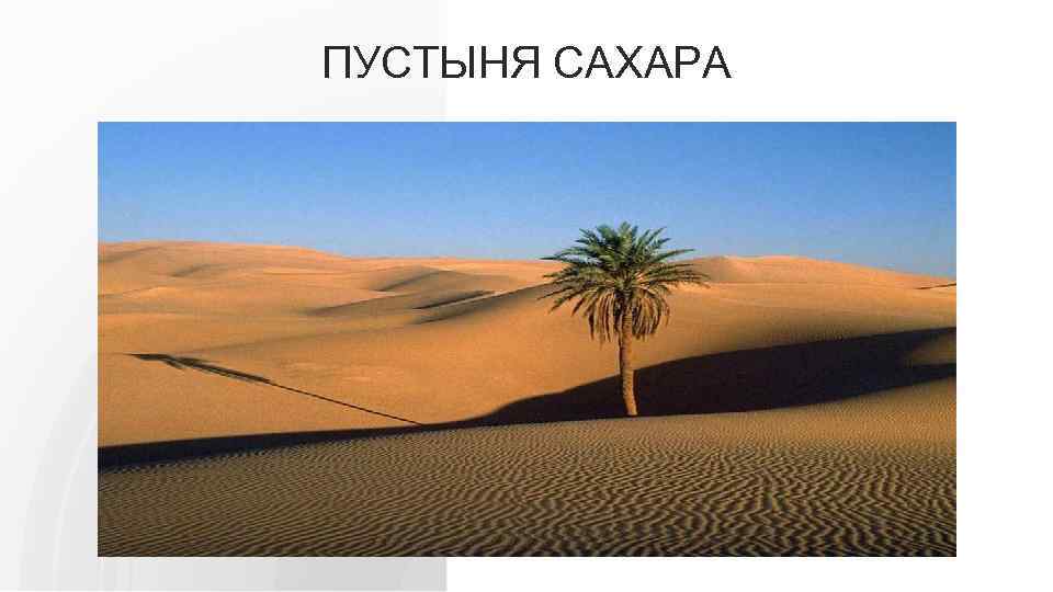 ПУСТЫНЯ САХАРА 