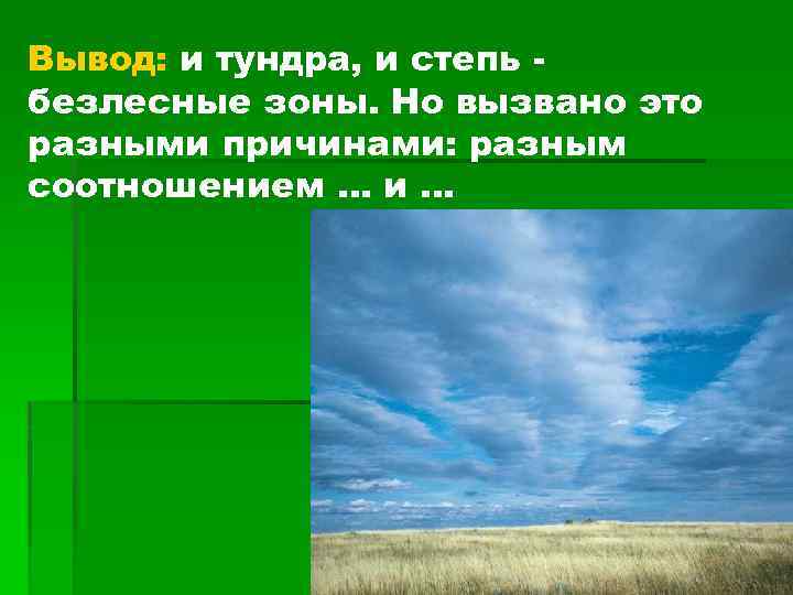 Какая природная зона занимает. Вывод тундры и степи. Северные безлесные природные зоны. Степи вывод. Сравнить тундру и степь.