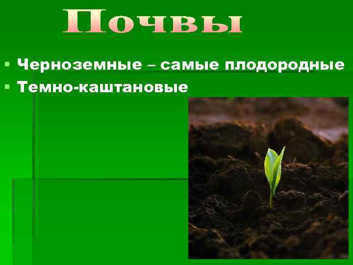 В какой природной зоне самые плодородные земли. Черноземные и каштановые природная зона. Самая плодородная природная зона. В какой природной зоне самые плодородные почвы. Самые плодородные почвы в какой природной зоне формируются самые.