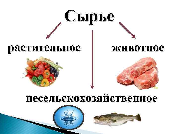 Сырье растительное животное несельскохозяйственное 