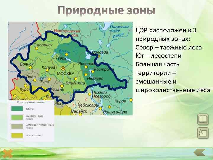 ЦЭР расположен в 3 природных зонах: Север – таежные леса Юг – лесостепи Большая