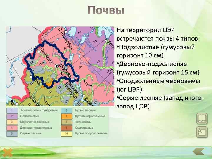 На территории ЦЭР встречаются почвы 4 типов: • Подзолистые (гумусовый горизонт 10 см) •