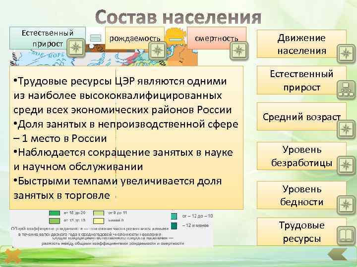 Естественный прирост рождаемость смертность • Трудовые ресурсы ЦЭР являются одними из наиболее высококвалифицированных среди