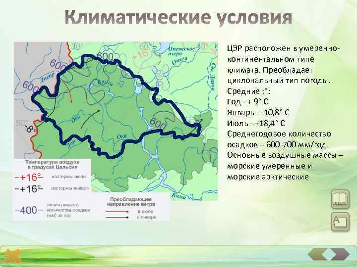 ЦЭР расположен в умеренноконтинентальном типе климата. Преобладает циклональный тип погоды. Средние t°: Год -