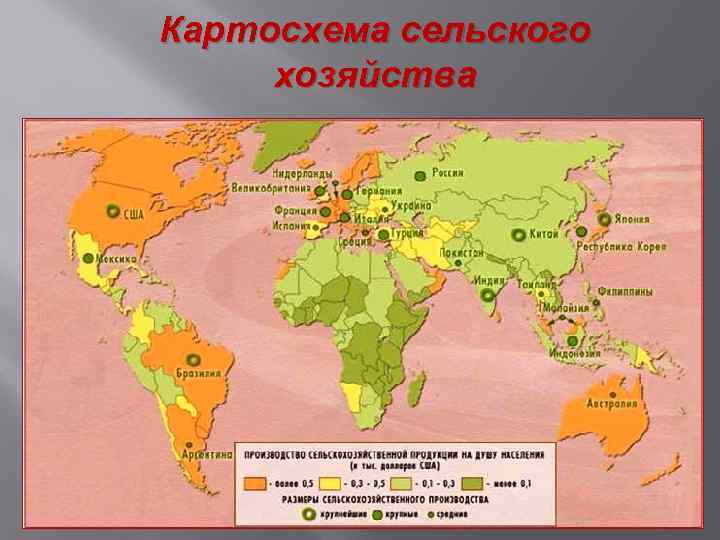 Картосхема сельского хозяйства 