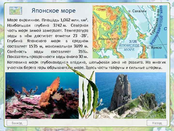 Японское море Море окраинное. Площадь 1, 062 млн. км². Наибольшая глубина 3742 м. Северная