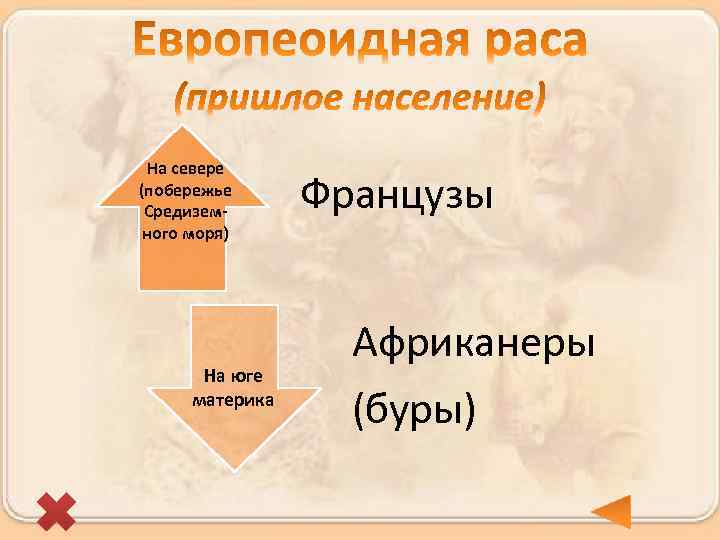 На севере (побережье Средиземного моря) На юге материка Французы Африканеры (буры) 