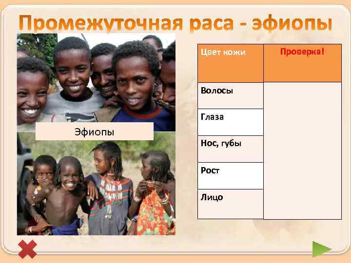 Цвет кожи Волосы Темный Глаза Эфиопы Проверка! Более светлая с красноватым оттенком Темный Нос,