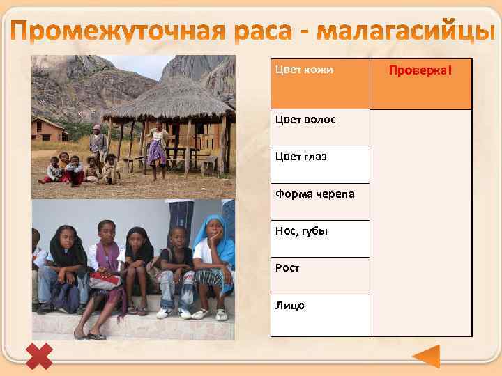 Цвет кожи Более светлая с Проверка! красноватым оттенком Цвет волос Темный Цвет глаз Темный