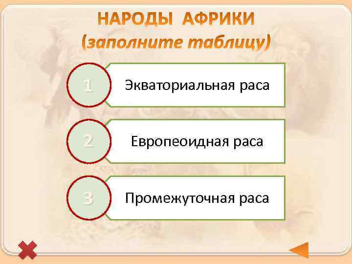 1 Экваториальная раса 2 Европеоидная раса 3 Промежуточная раса 