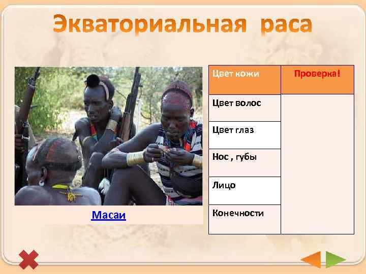 Цвет кожи Цвет волос Черный Цвет глаз Темный Нос , губы Узкий нос, губы
