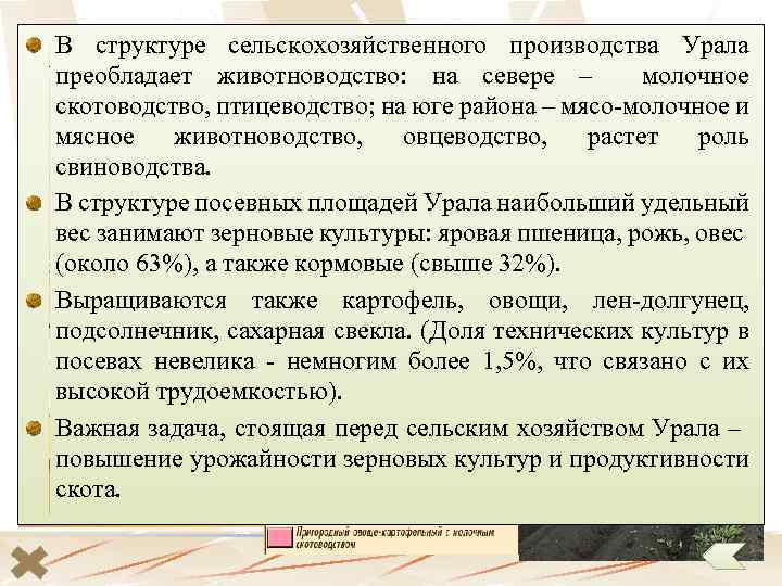 В структуре хозяйство Сельское сельскохозяйственного производства Урала преобладает животноводство: на севере – молочное скотоводство,