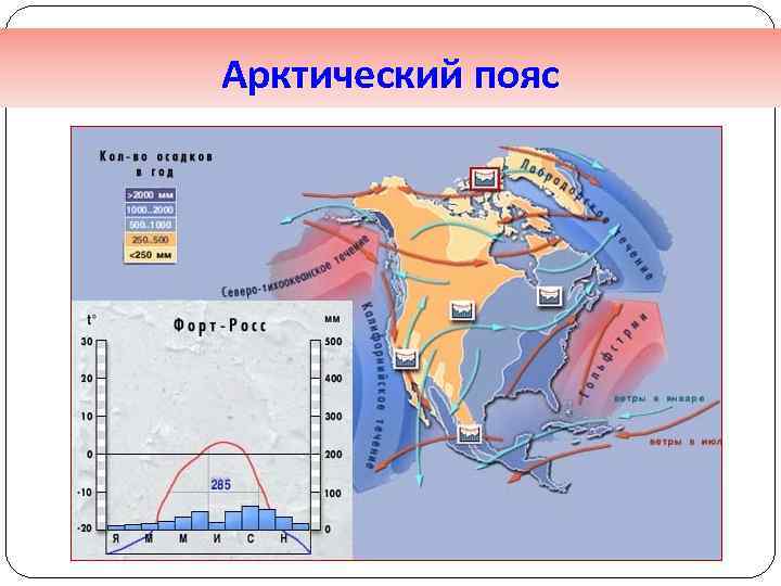 Арктический пояс 