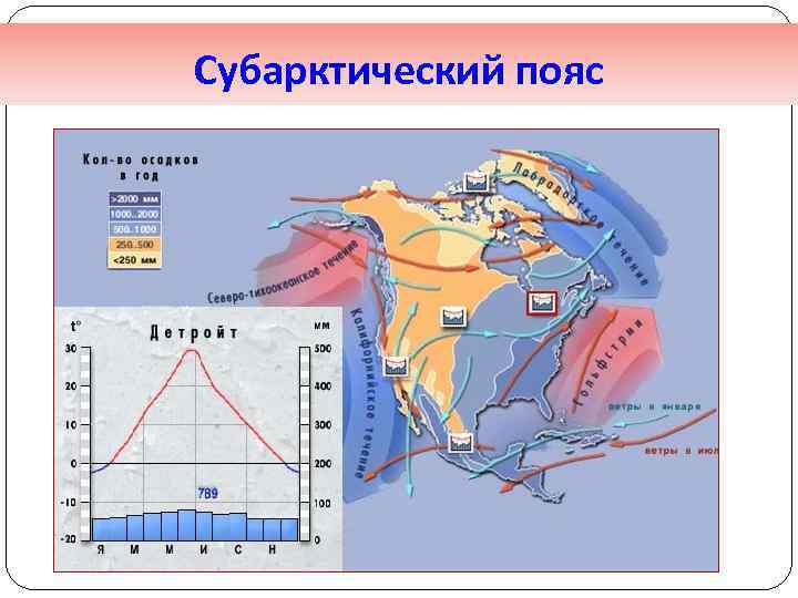 Субарктический пояс 