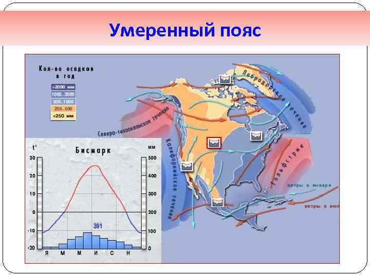 Умеренный пояс 