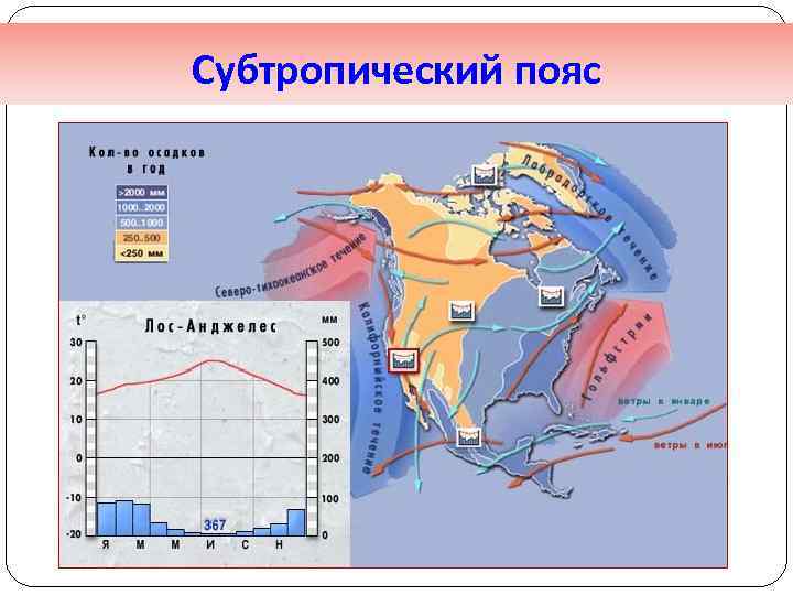 Субтропический пояс 