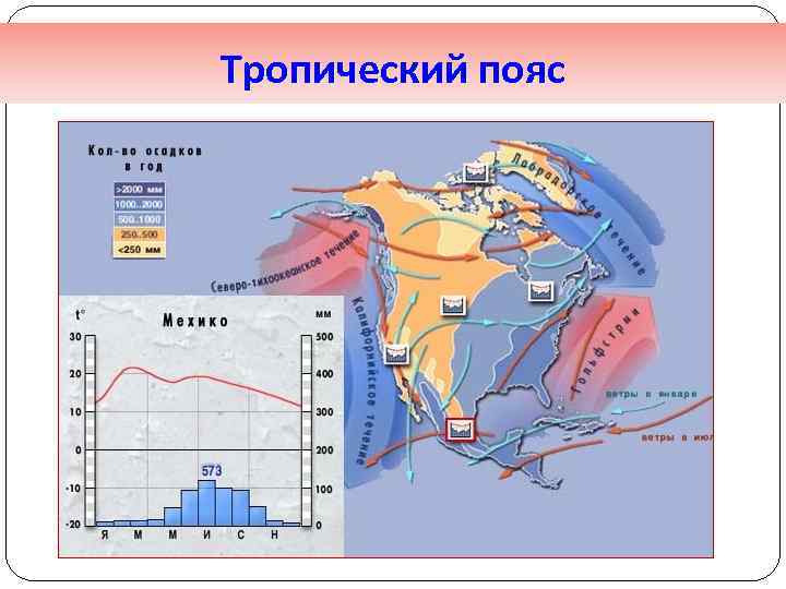 Тропический пояс 