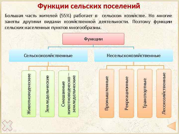 Функции сельских поселений Большая часть жителей (55%) работает в сельском хозяйстве. Но многие заняты